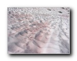 2005-08-20 Lyell (50) red snow - iron